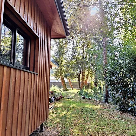 Maison Spacieuse A Selve Avec Jardin Et Barbecue 125 M² * Saint-Selve