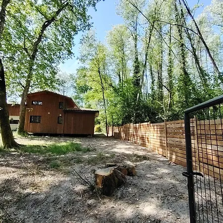 Maison Spacieuse A Avec Jardin Et Barbecue, 125 M². Saint-Selve