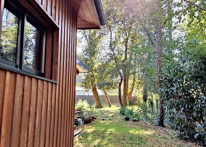 Maison Spacieuse A Avec Jardin Et Barbecue, 125 M². * Saint-Selve